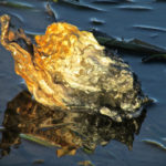 16013681138 854f9b849f k