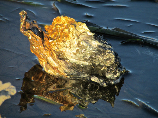 16013681138 854f9b849f k