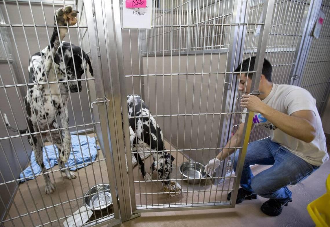 b19c15ab66c7b1c28108aeadab996219