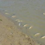 4804786b99d6bfaa291901bbcfbae9bf