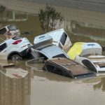 d861100053d6a85ee53c0862827b4029