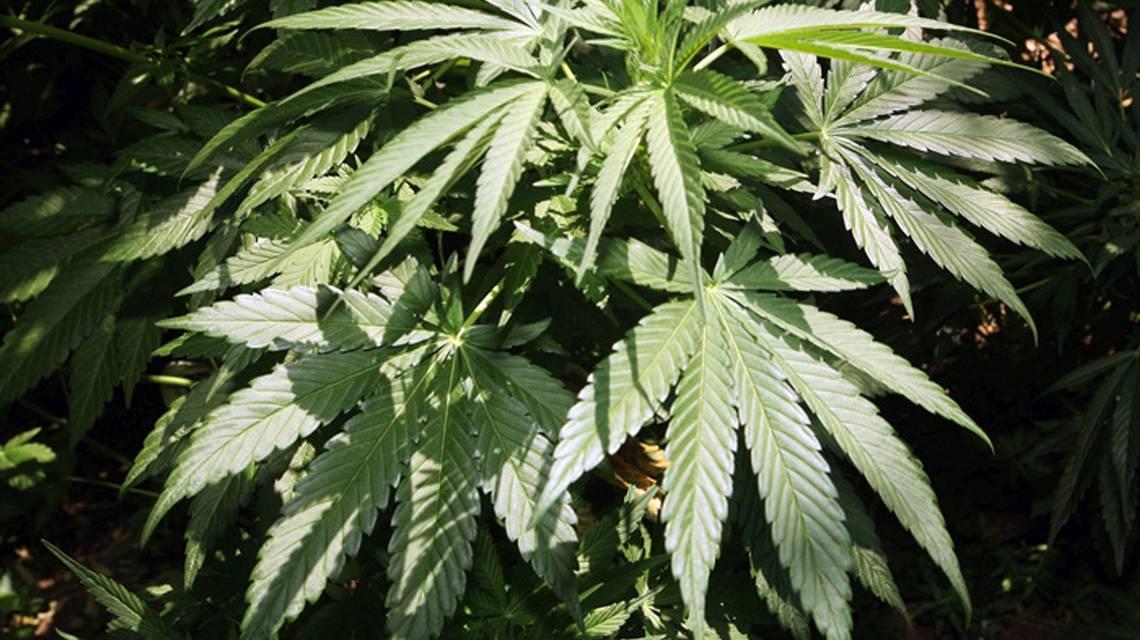 da0e8bc21e82d53b03d7250d05f03c9c