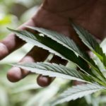 36cc7fe23467a8909e725e09ed46ccc1