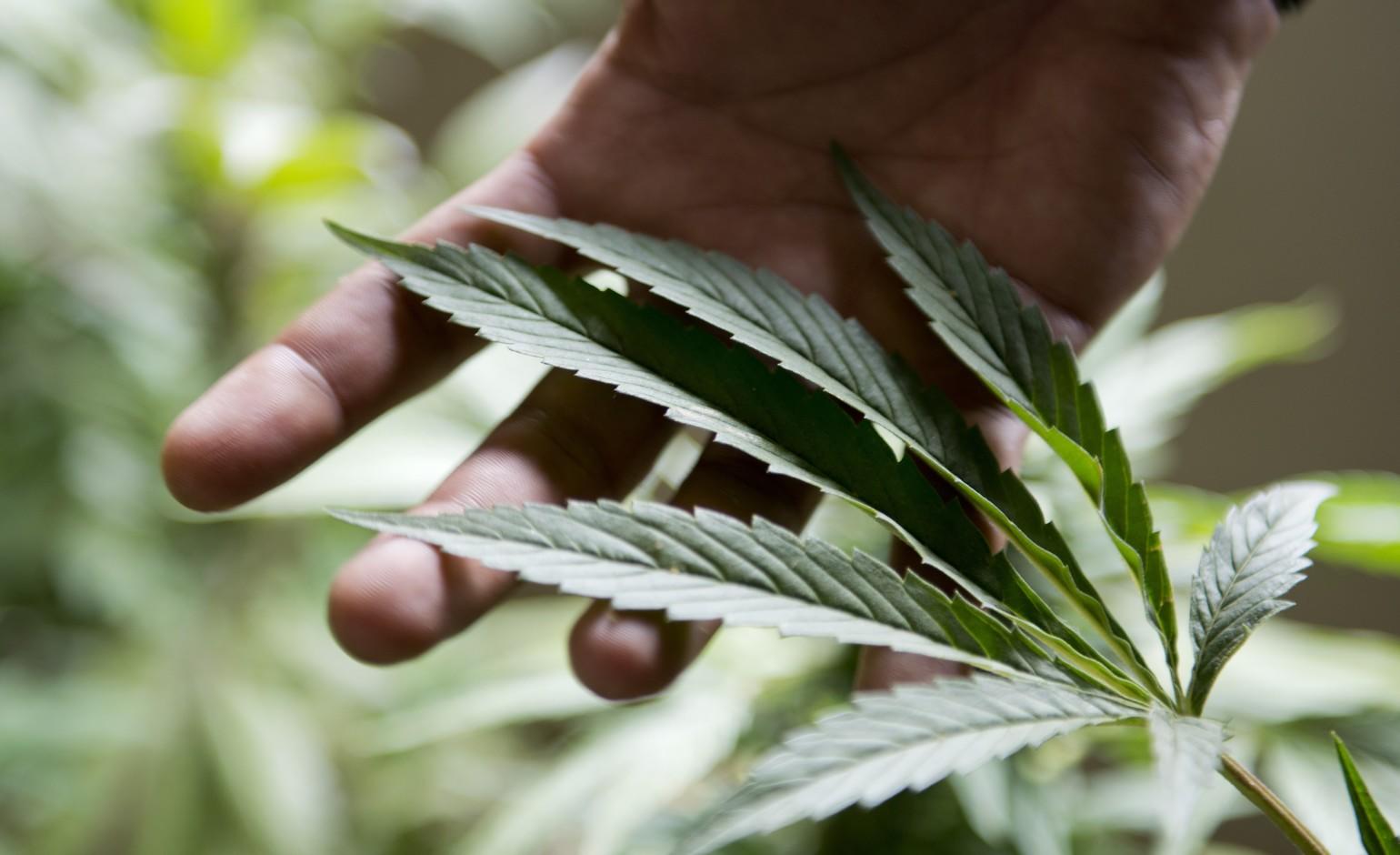 36cc7fe23467a8909e725e09ed46ccc1