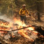 60e976836dc06dc0f375a199e02df374