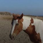 612e970a2f6b901586a38715 o U v2