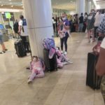 8f338099138899bc32dd5eb85279a18d