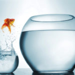 GettyImages 1084018618