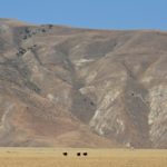 a3428a2275da1146fc8e5325deba33f7