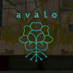 Avalo uses machine learning to accelerate the adaptation of crops to climate change – TechCrunch 3 avalo plants