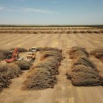 ed440631565e02f0382c6d3db1ba3507