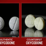 6153c7a405530c31008f14d4 o U v2