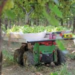 Burro SP 3 8 23 2021