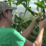 footage.00 00 48 02.Still001 3 1