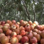 6167e88588b0ef282fb68721 o U v2