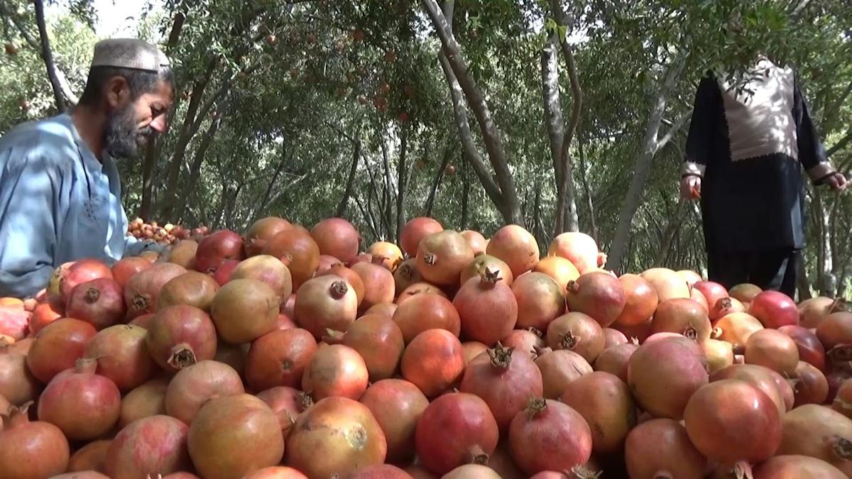 6167e88588b0ef282fb68721 o U v2