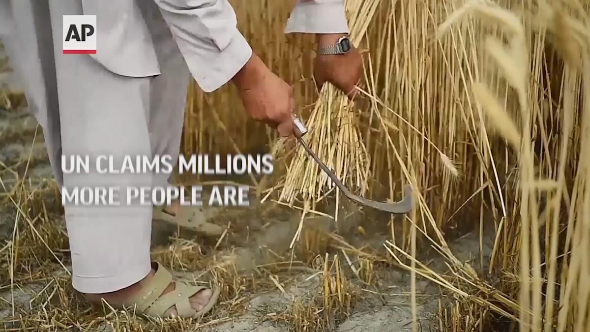 6169dad11bffa028ea99f498 o U v2