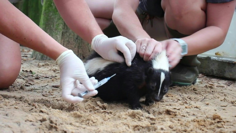 616af6b54d47022a90572f30 o U v2