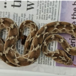 ad667110b8068cb5b5a62acbbbdc8c25