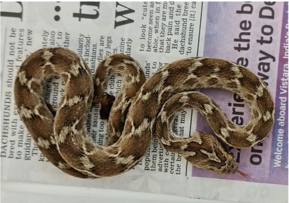 ad667110b8068cb5b5a62acbbbdc8c25