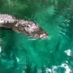 fd5a4c707a1f4c98fe4cd77818c759c2