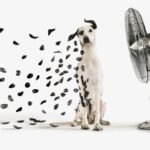 GettyImages 105471618