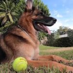 61a89669cf09e433d9a369f9 o U v2