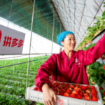 Screen Shot 2021 12 03 at 9.40.47 PM