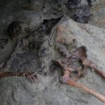 b44eff72d7c39bca7510e3453633e122