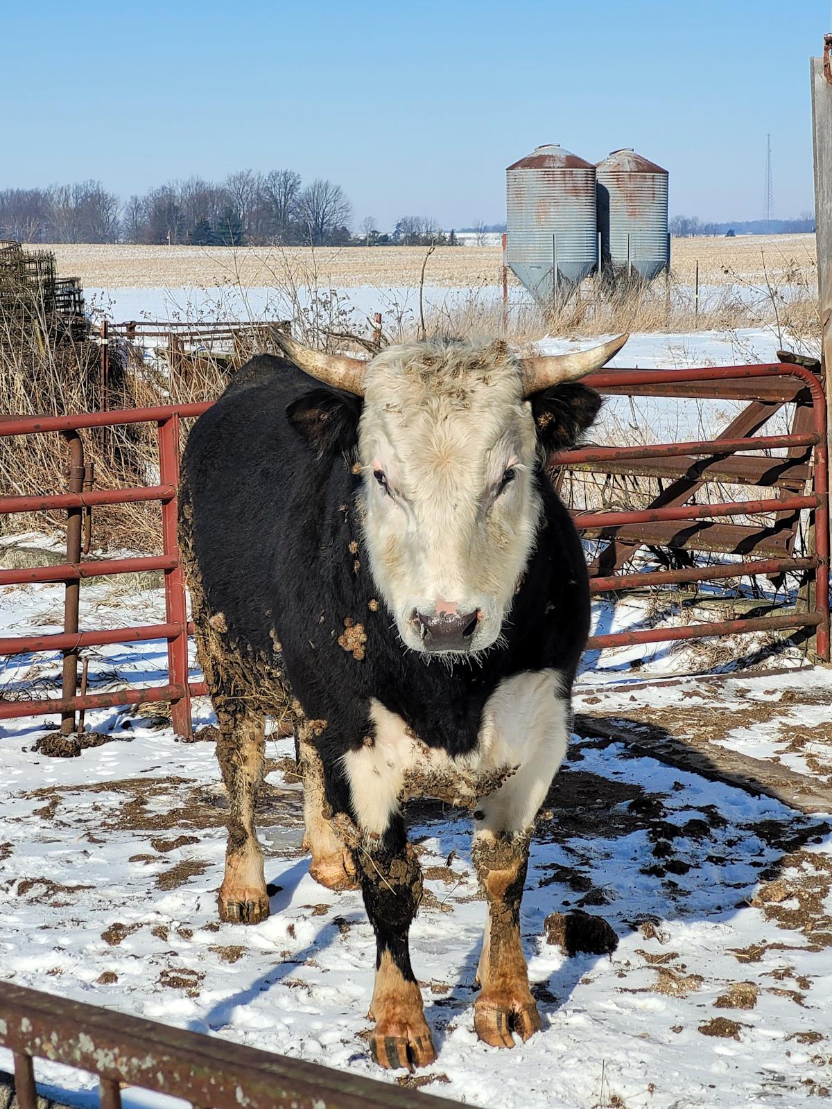 57c534eb49f3202cbb3b543a94e05157