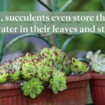 61ddab57c1623c000186e103 1280x720 FES v1