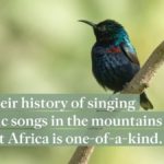 61e1cde0c1623c0001875d9c 1280x720 FES v1