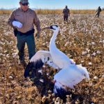 b23ab084985da073d744d9c4beb0e21d