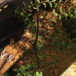 fd4dd3eaaf431908b06d690f9ddde96c