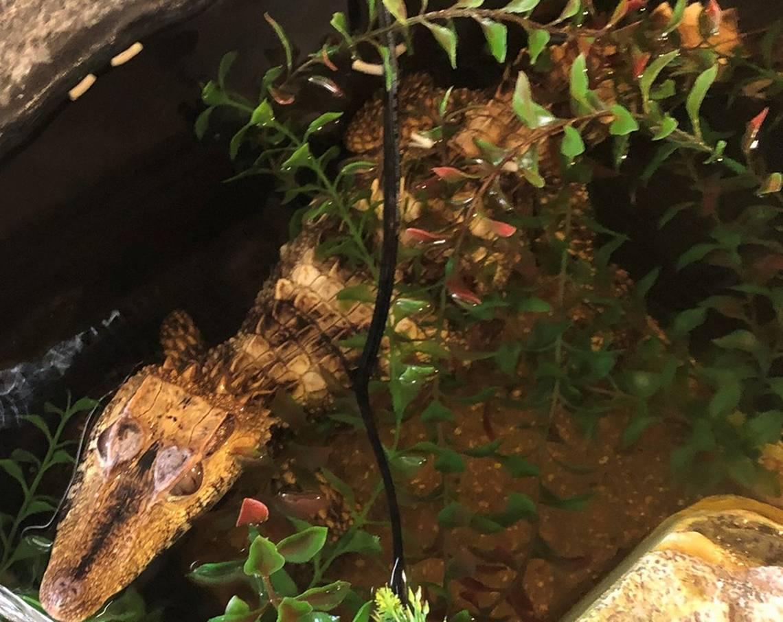 fd4dd3eaaf431908b06d690f9ddde96c